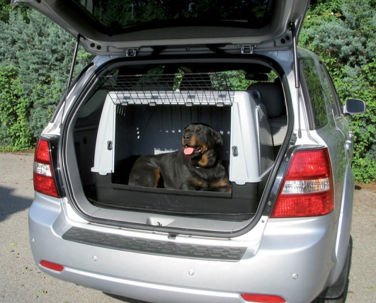 Comment transporter un chien en voiture ?